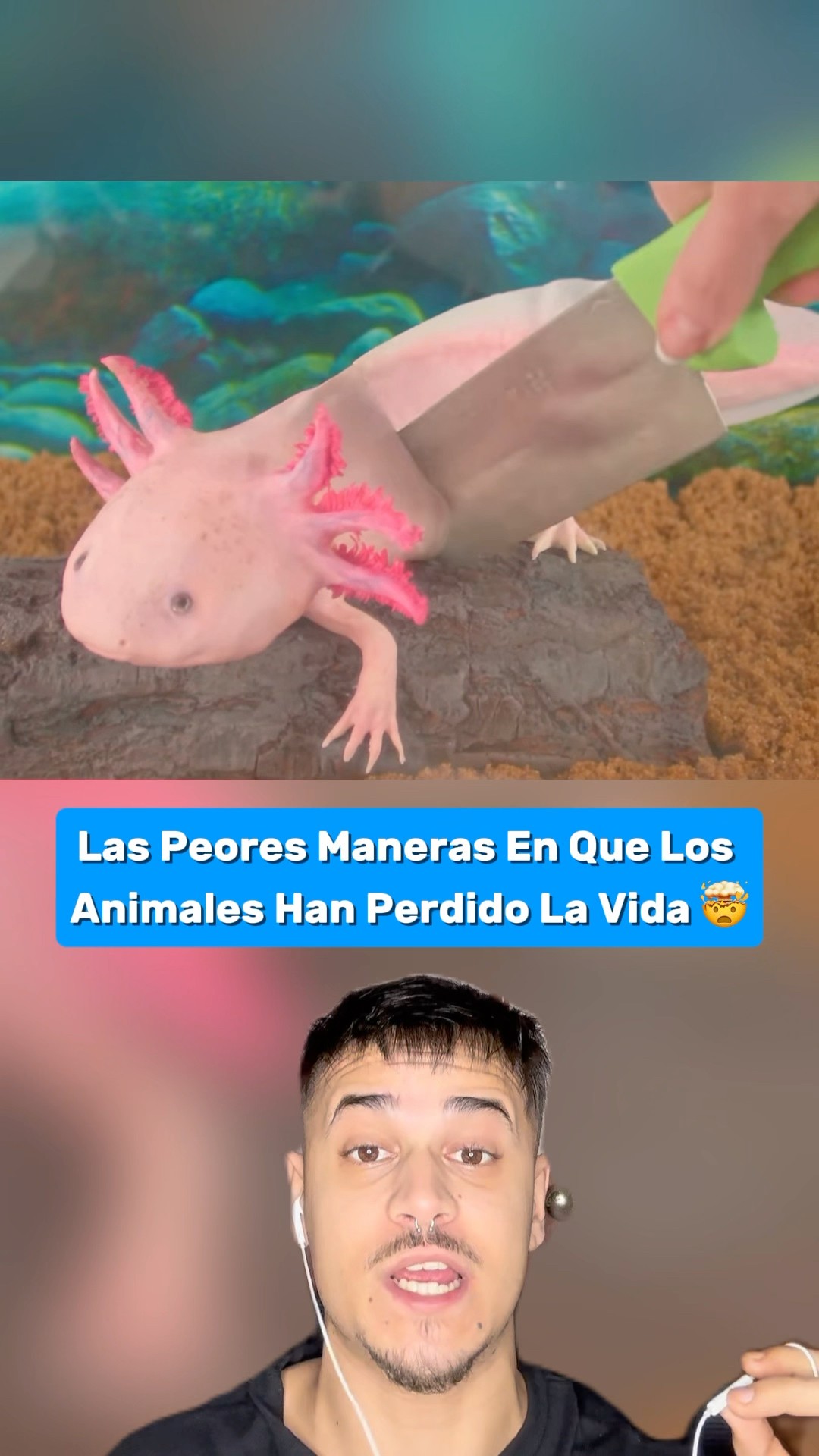 Peores Maneras En Que Los Animales Han Perdido La Vida Parte 16 #shorts