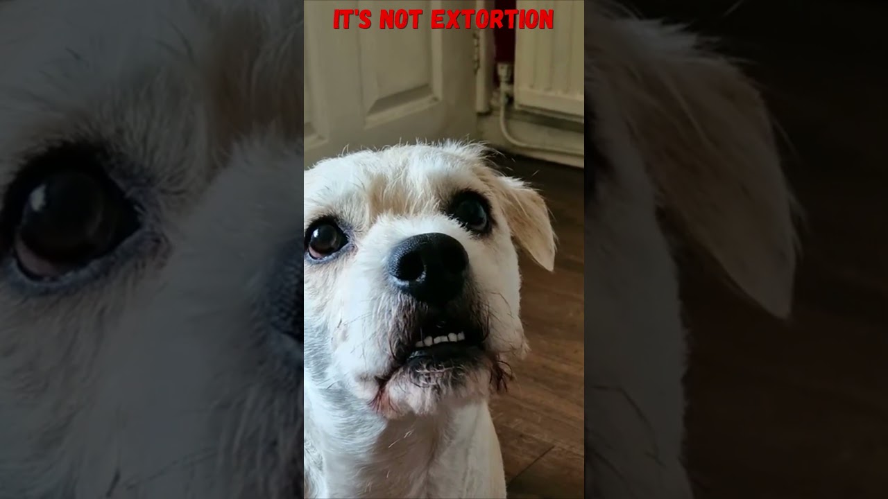 We're providing a service. 