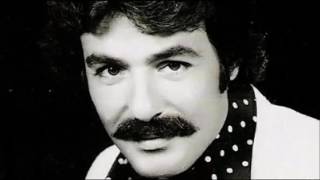 Ferdi Tayfur Benim Hayatım Resimi