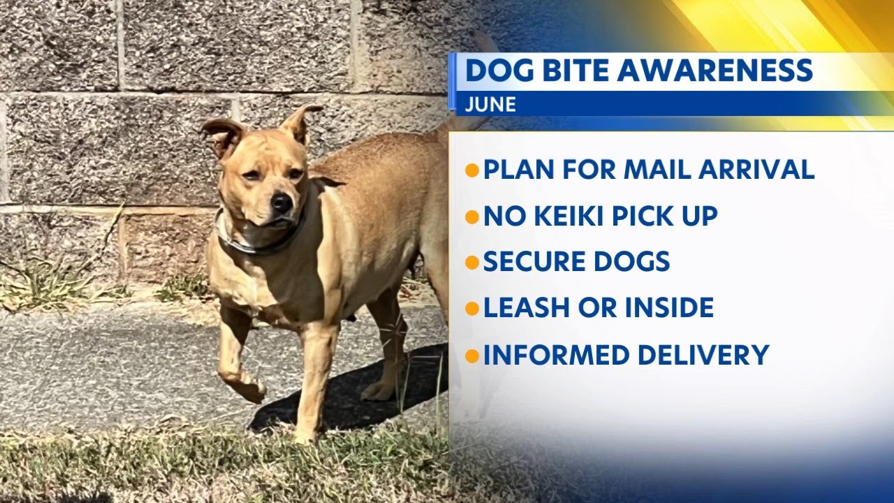 Hawaii postal workers at risk: dog bite awareness month tips