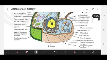 MZO-001 || lecture 1 || ignou || Molecular Cell Biology