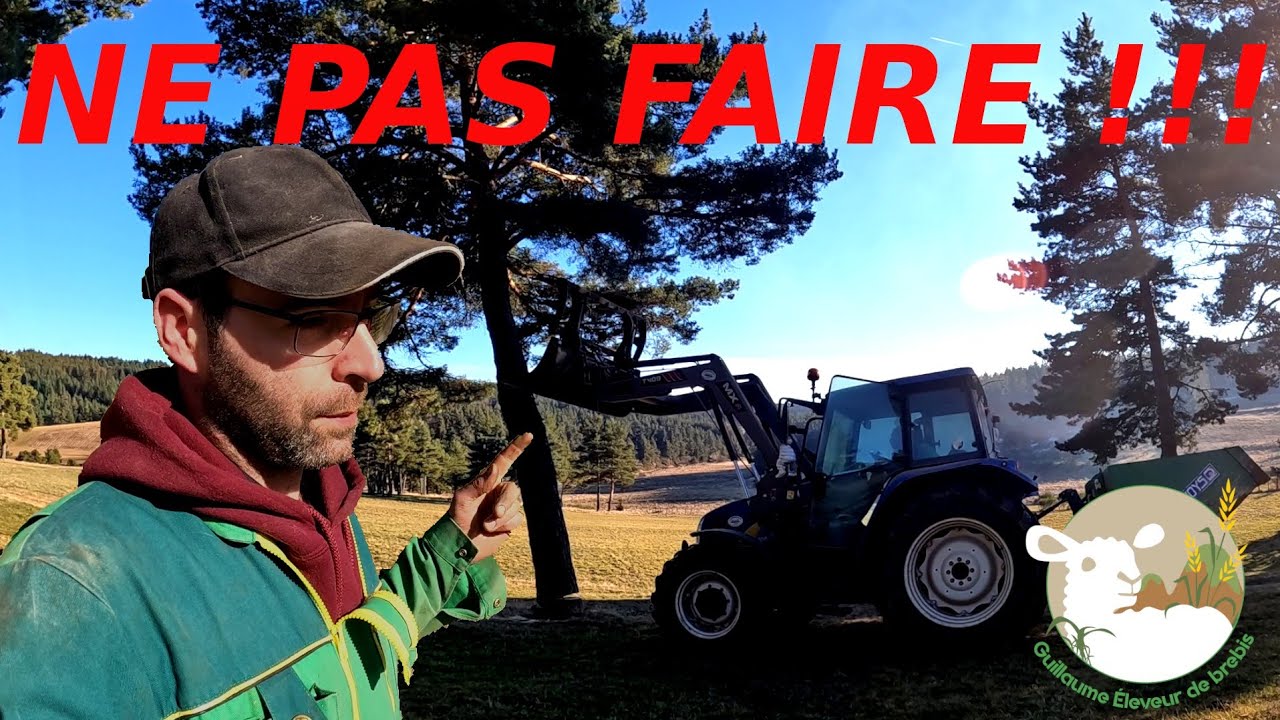 Je coupe des arbres mais pas que.... N°156