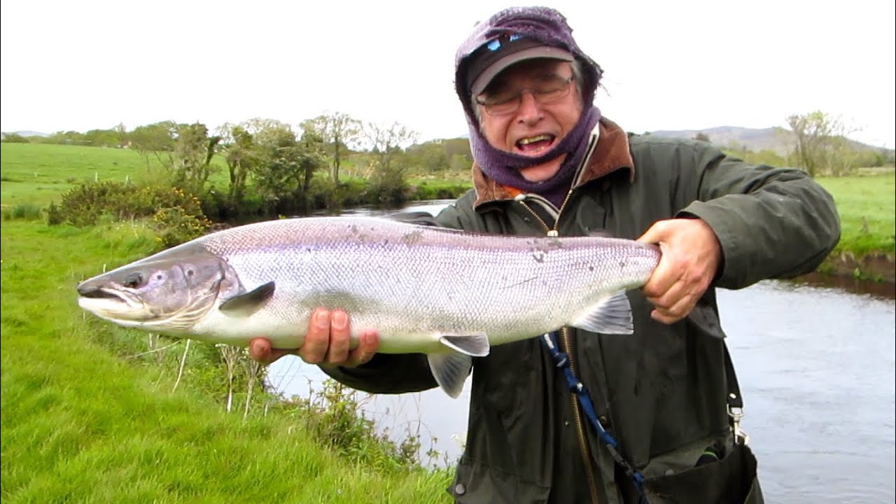 Small Flies and Big Fish