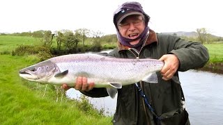 Small Flies and Big Fish