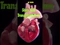 Stem Cell Therapy #stemcelltreatment #stemcells #heartdisease #cell therapy#neet #science #class 12