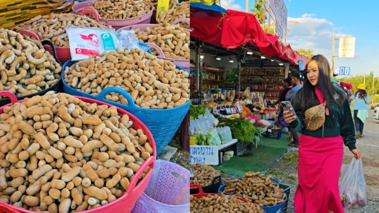 เลาะซื้อมะขามหมู มะขามหวานตลาดบ้านพักผู้พัน เขาค้อ