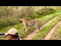 WE Couldn’t BELIEVE our EYES | Ep 2 | TADOBA Apr 2023