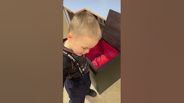 Box with snakes for escape room