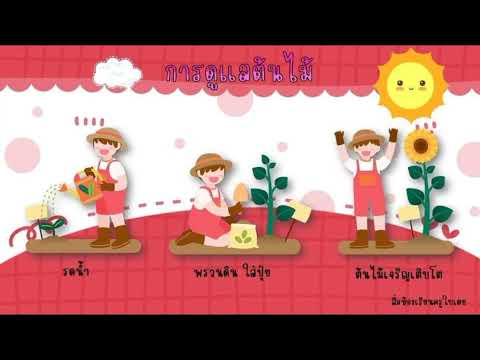 หน่วย ต้นไม้แสนรัก ครูปุ๊ก