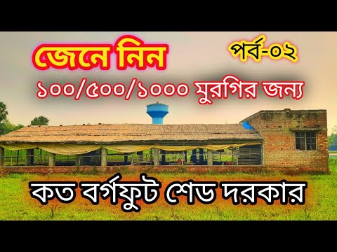 ভিডিও: 25টি মুরগির জন্য একটি ব্রোডার কত বড়?