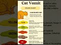 Cat vomit colour chart #cat #catfacts #shorts