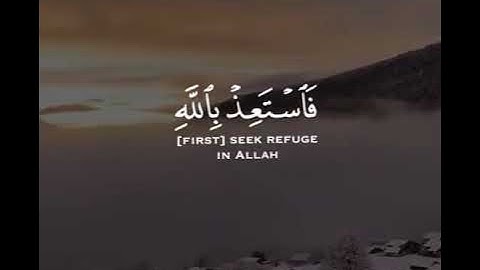 قراءة هادئة من سورة النحل بصوت القارئ عبدالرحمن مسعد 🤍