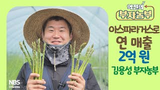 [역전의 부자농부 250회] 아스파라거스로 연 매출 2억 원! 경기 양평 김용성 부자농부