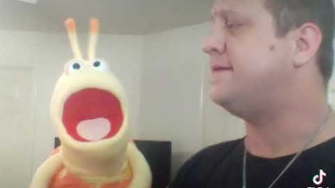 Questions for silly puppet snail Sheldon: ventriloquist