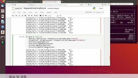 PyTorch로 시작하는 딥러닝: 8장. 모던 아키텍처 네트워크 - ResNet 모델