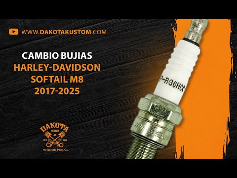 Cambio Bujias Harley-Davidson