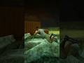 Shinchan and Franklin went from the crashed plan and opened the containers #gta5 #shorts #container