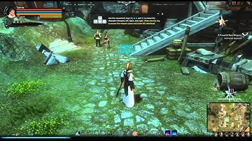 Level 1 to 20: Dragon