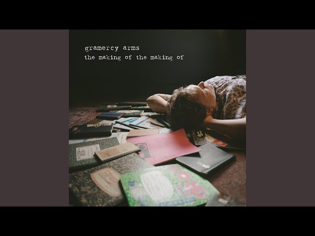 Never Say Anything (Acoustic)