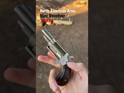 Would you carry a pocket pistol?? #shooting #guns #glock #shoot