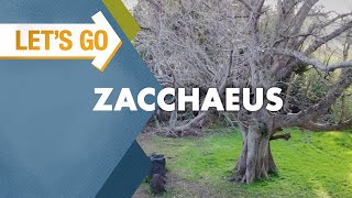 Let's Go: Zacchaeus Wealth