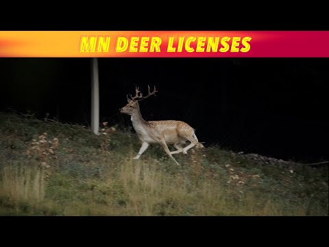 MN Deer Hunting Licenses On Sale Now With 1 Change 