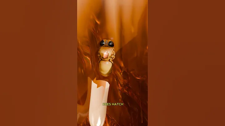 The Biggest Threat to Honey Bees 🐝