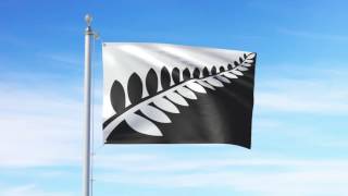 Silver Fern (Black & White), Alofi Kanter - Flag Consideration Project