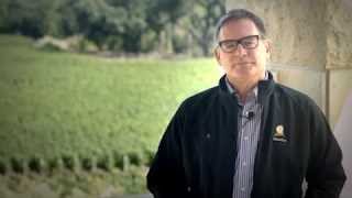 Opus One 2009 Growing Season