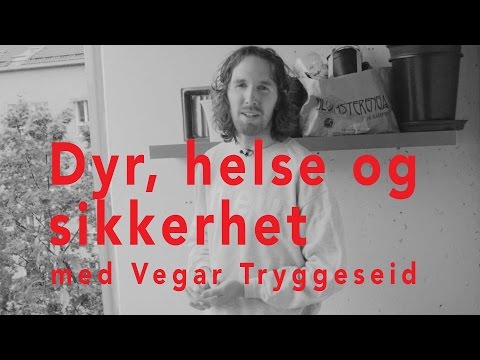 Video: Hva er helsesikkerhet og sikkerhet på arbeidsplassen?