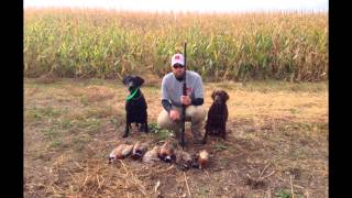 Platte River Hunting Retriever Club-North Platte Nebraska