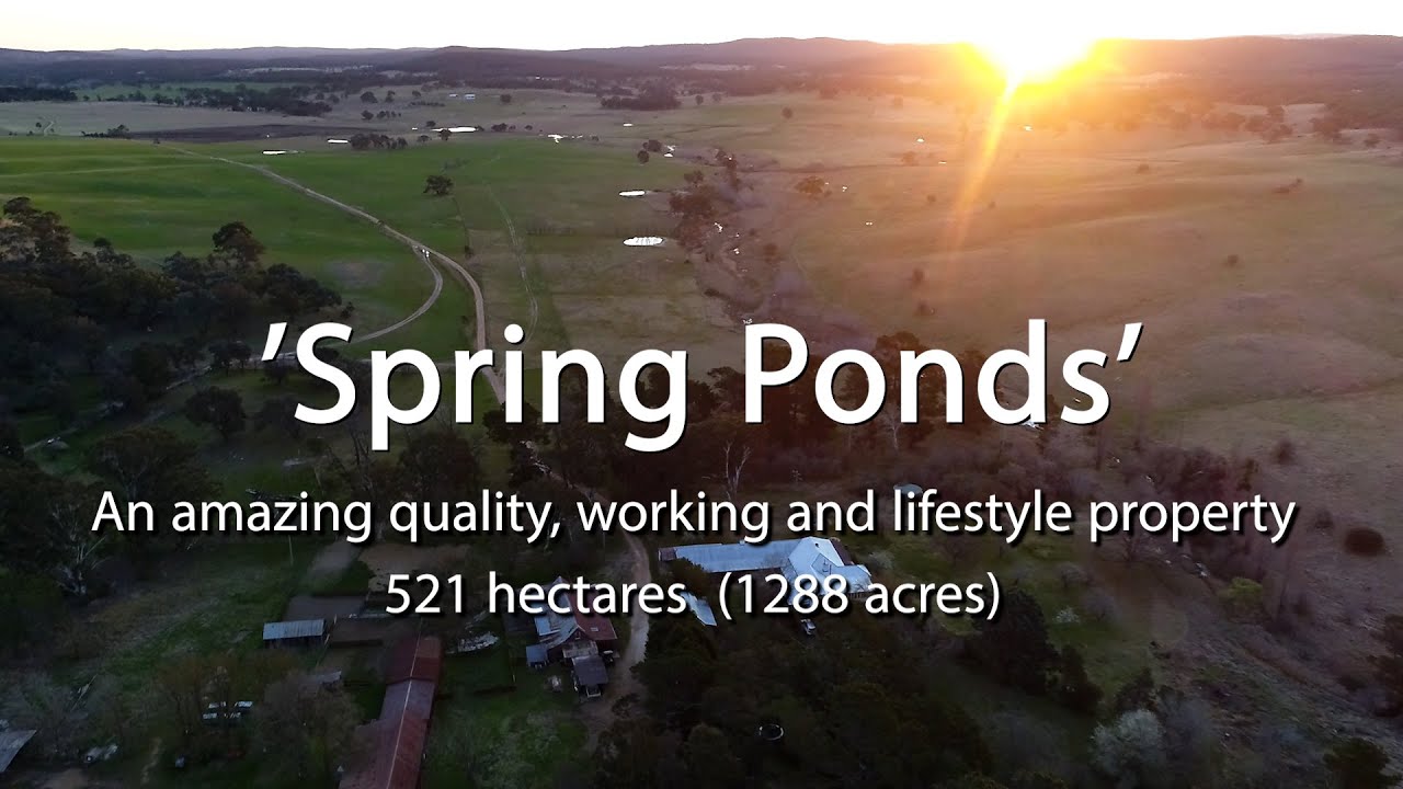 Spring Ponds Bungonia Merino Station
