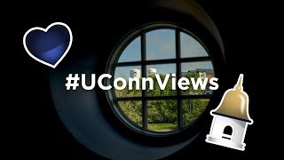 #UConnViews: Windows | UConn