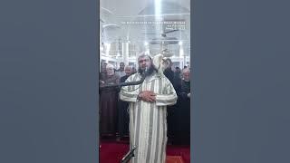 Cat jumps on sheikh leading prayer. See his reaction