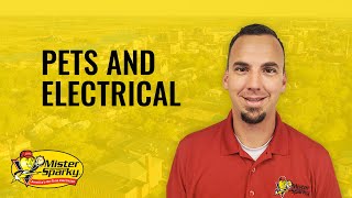 Pets And Electrical | Electrician Wilmington, NC