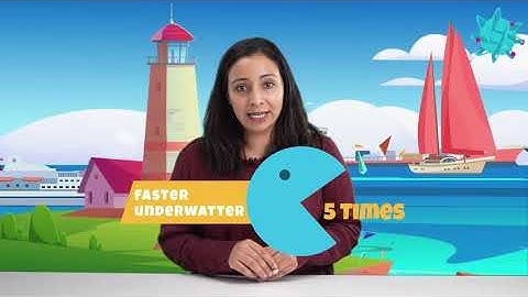 Armstrong STEM Hands on Activities E-learning platform