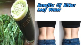 Reason Why You Should Drink  Bitter Leaf Water Everyday / Health Benefits Of Bitter Leaf Water