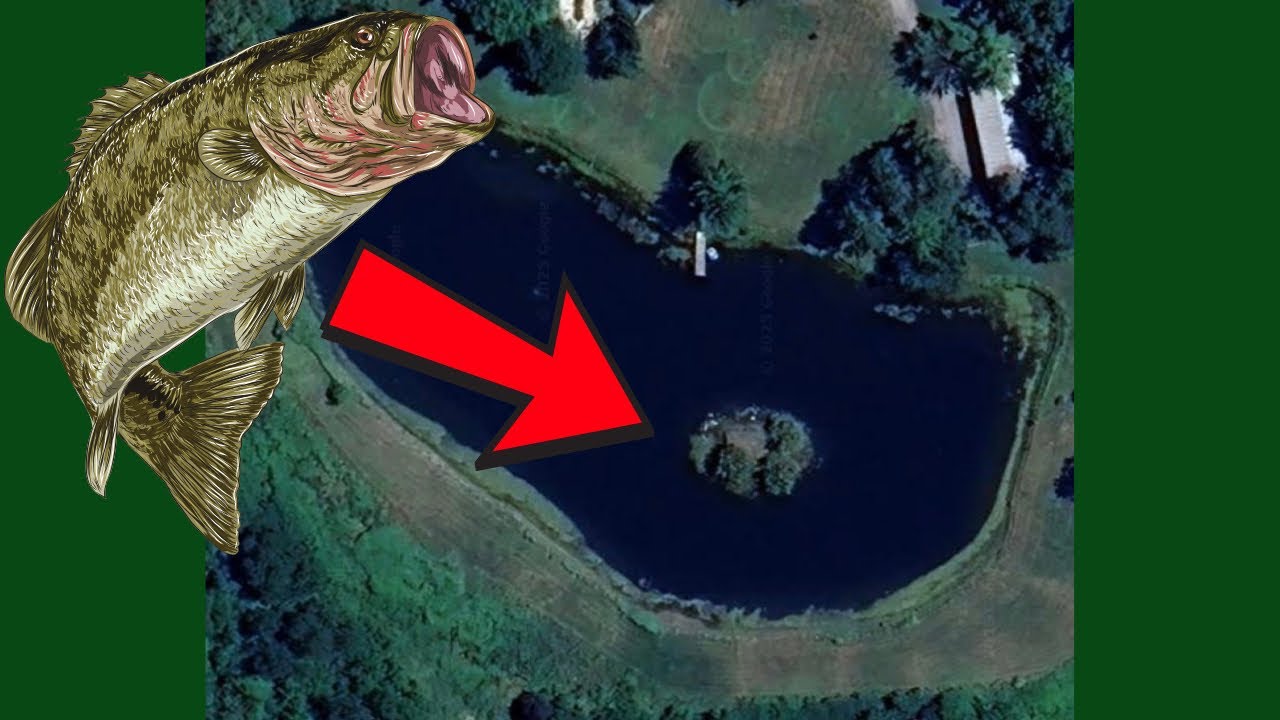 Bass fishing in remote pond (I GOT OUTFISHED BY FANS)