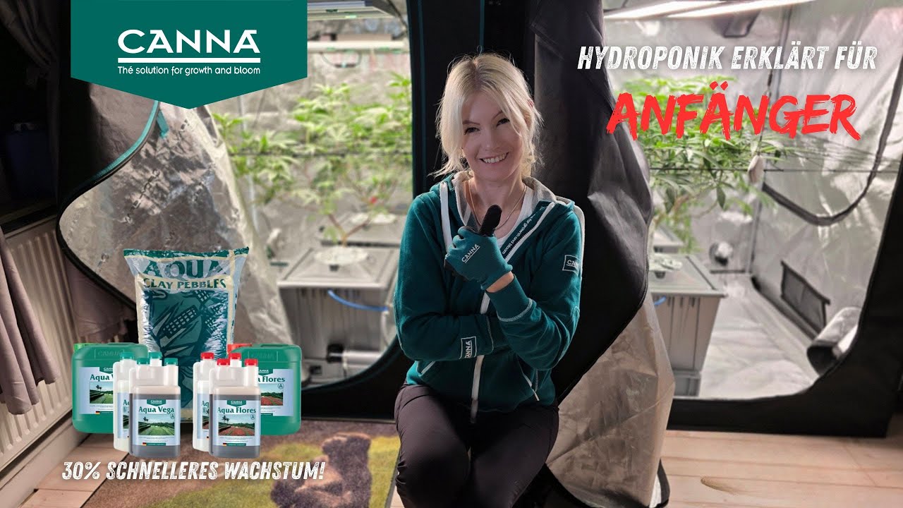 Hydroponik für Anfänger - So wachsen Pflanzen 30% schneller