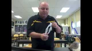 Chapter 3 - Imaginetic Space Enrichment Activities