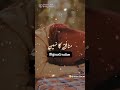 cute #video