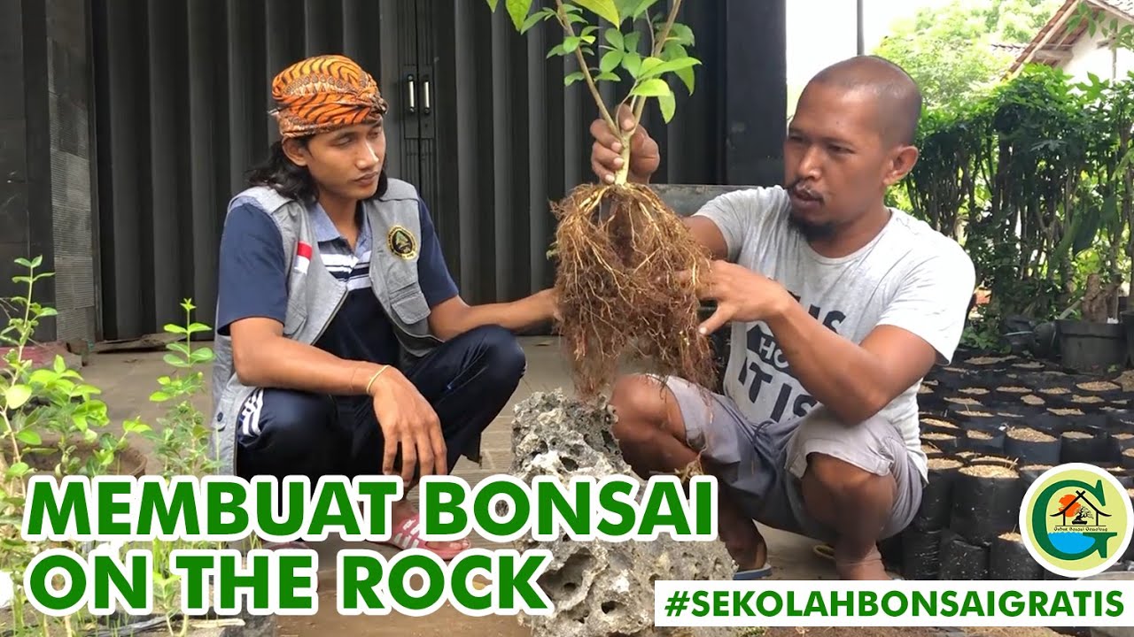 MEMBUAT BONSAI ON THE ROCK BERSAMA MAS BOWONGSO | # ...