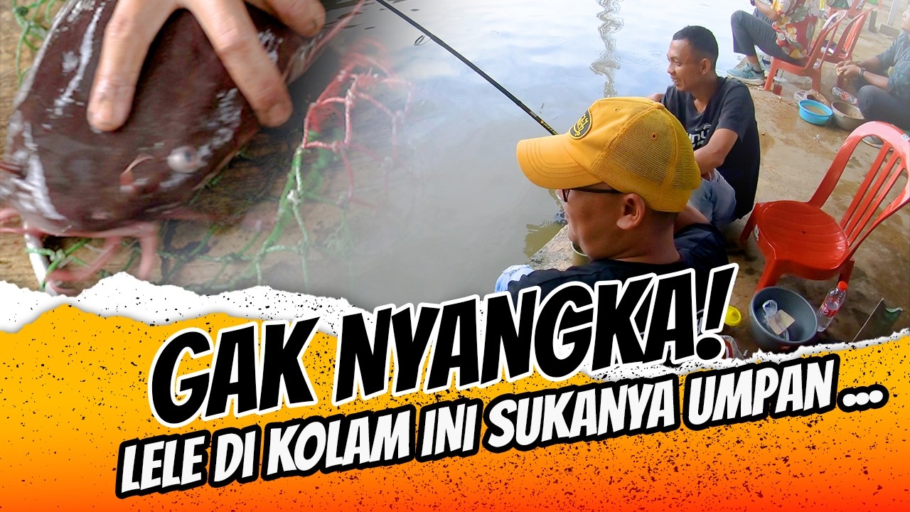 Rahasia Mancing Lele di Kolam Starbul Bekasi! Spot & Umpan Paling Ampuh 🎯🐟