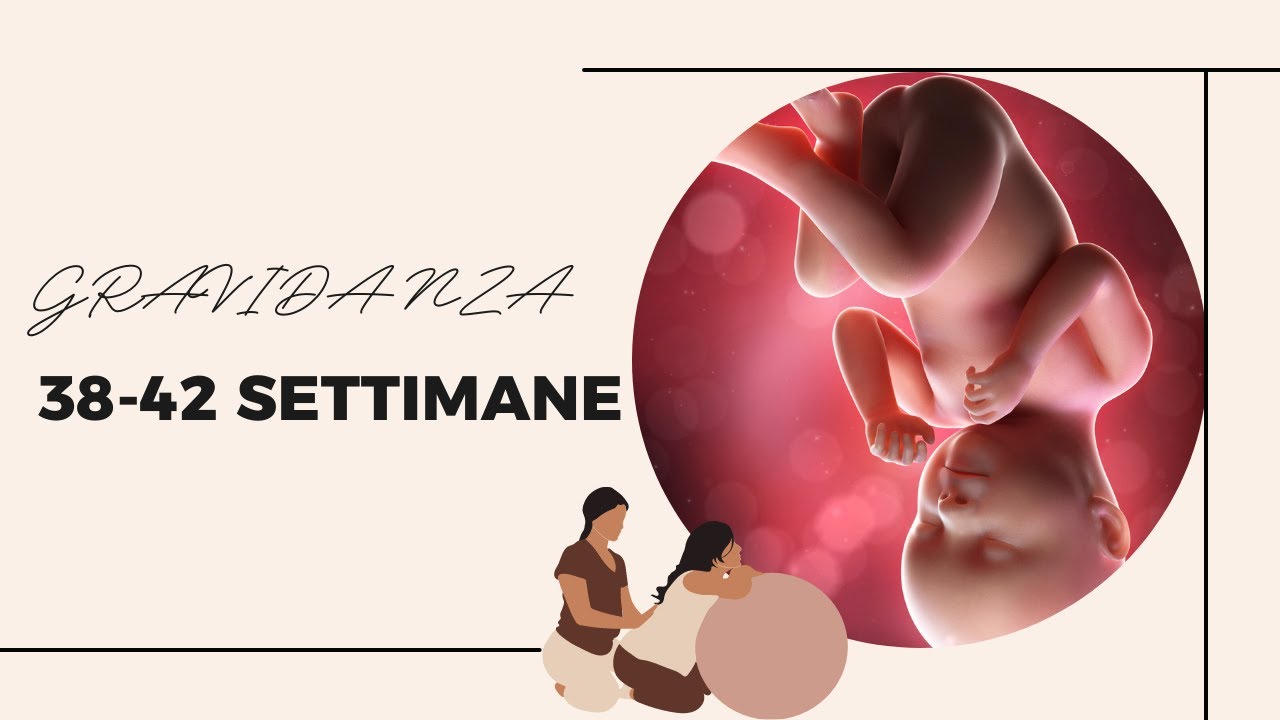 Gravidanza 38-42 settimana | Preparazione alla nascita