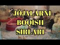 JO'JALARNING BOQISH SIRLARI ЖУЖАЛАРНИНГ БОКИШ СИРЛАРИ