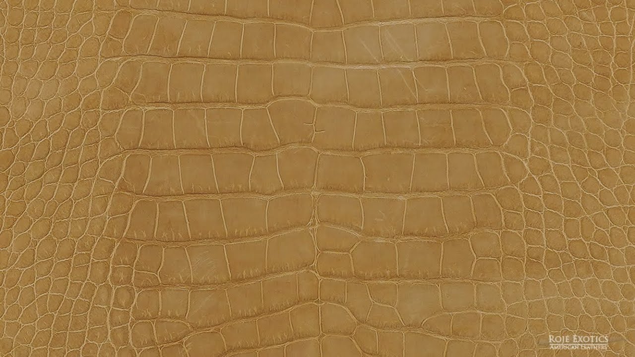 Alligator – Tan – Nubuck | Roje Exotic Leather