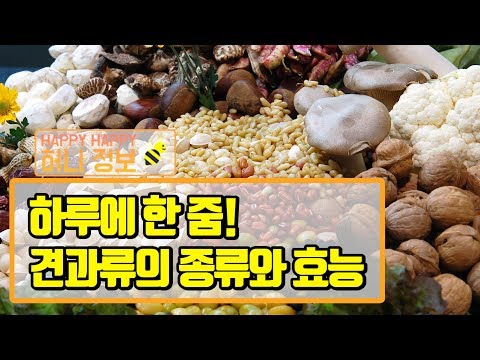 견과류의 종류와 효능! 하루에 한 줌씩 드세요.