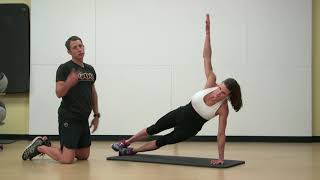 Side Plank In Push Up Position