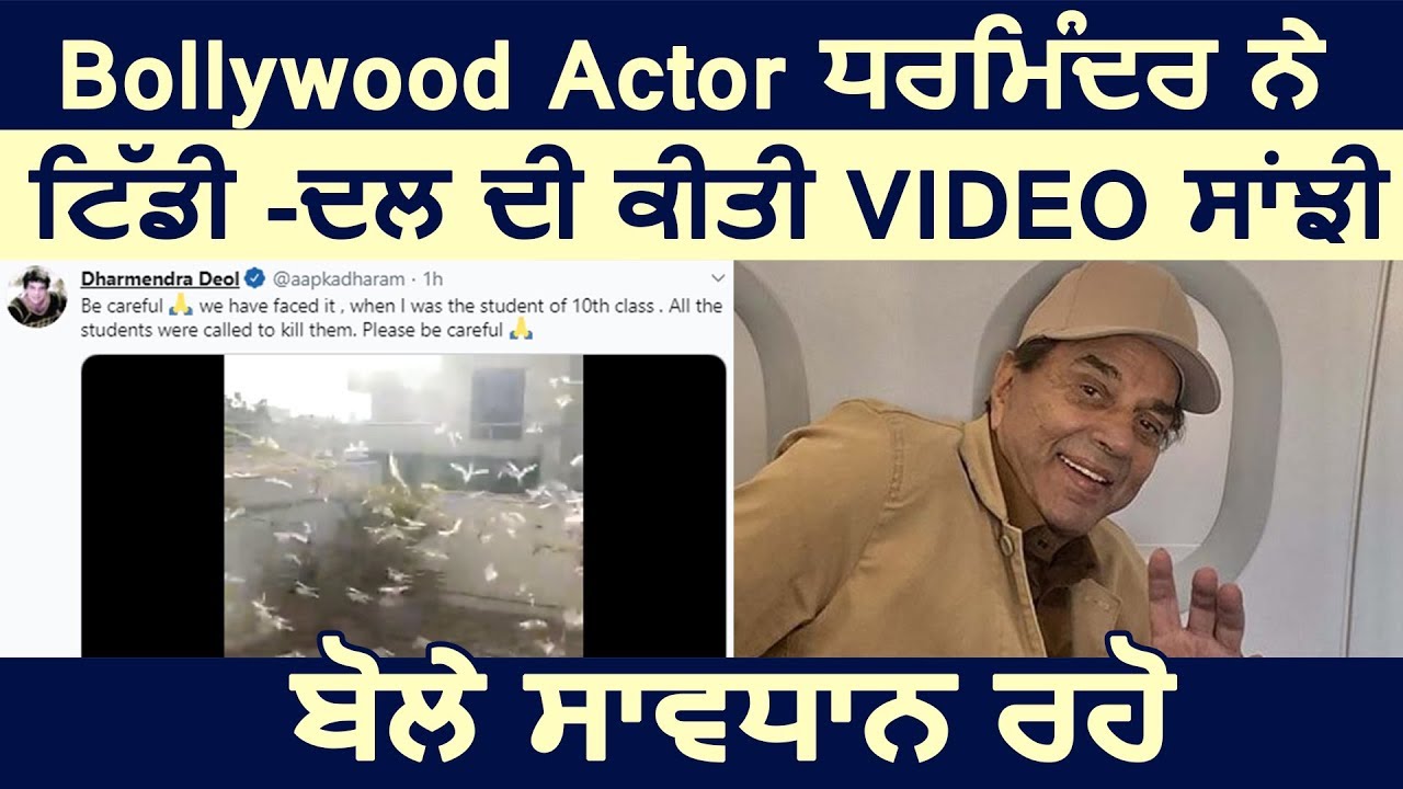 Bollywood Actor Dharmendra ने की Tiddi -Dal की Video Share बोले सावधान रहिए