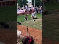 Cómo este perro sorprendió a todos